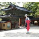 근화 이미지