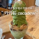 [카카듀/cacadew cafe] 이 녹차 아이스크림 어디까지 올라가는거↗️예요? 제주 빙수맛집 카페 리뷰