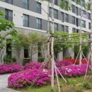 e편한세상옥정메트로포레아파트 이미지