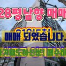 삼성아파트1동 앞 이미지