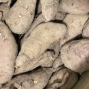 퇴촌로-2 이미지