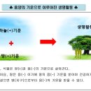 맨땅 이미지