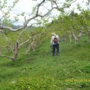 극복 농장 이미지