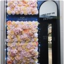 아이스타일러 안경 이미지