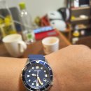 프로마스터 | 시티즌 프로마스터 시계랑 일본 컵라면 같이 사본 후기