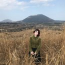 (유)삼일렌트카 화장 | 여행 좋아 인간..