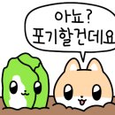 댄다스토어