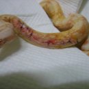 연서 동물병원 이미지