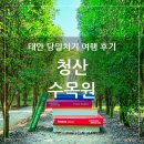 양지하우스 | 충남 태안 수국과 팜파스와 핑크뮬리가 유명한 청산수목원