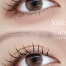 봄봄(BomBom) 이미지