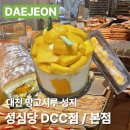 시루다방 | 대전 성심당 🥭 망고시루 망고롤 🥭후기 | DDC점 & 성심당 본점 빵보관소 | 내돈내산 웨이팅 재고현황...