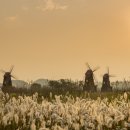 남동구 새랑이&게랑이 나침반 아카데미 이미지