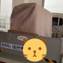 보라중학교 이미지