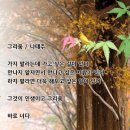 그리움 / 나태주 이미지