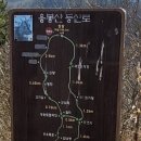 (주)금강송 이미지