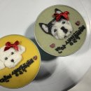 놀면멍하냥 이미지