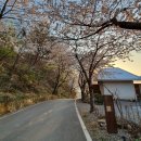 [남해/적정온도] 우리가 남해에 온 이유 '적정온도' 숙박 후기