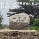 고개너머 | 등산코스 - 코스는 쉽지만 풍경은 평범하지 않은, 유명산 등산코스 (배너머고개코스, 소요시간, 난이도)