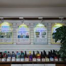 새천년카클리닉 이미지