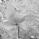 제주하도바당 이미지