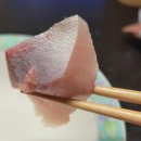 [진영맛집] 진영 횟집 물반고기반 대방어회 포장(맛있어서 이틀연속 먹은후기)