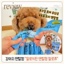 토리덴탈 | 알로츄 강아지덴탈껌, 육류프리 특허유산균 강아지양치껌이라 알러지 반려견 추천
