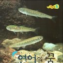도서출판 연어