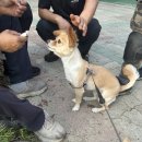 누리카센타 이미지