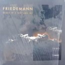 프리데만 비테카 Friedemann Witecka Guitarist 기타리스트 엘피레코드 오디오파일 AUDIOPHILE VINYL 음반 이미지