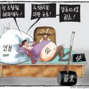 영상 컬럼 [7월13일] 이미지