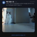 부천우리병원 | [6주차]부천 마운자로 처방 내돈내산 병원 후기 | 식단없이 감량