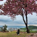 씨월드관광호텔 부대시설 변경(유흥주점 폐업) | 울산 간절곶 오션뷰 숙소 온더웨이브호텔 디럭스더블 내돈내산