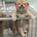 참 이미지