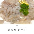 울산 북구 정자동 강동대방수산 우럭 광어 포장 후기 : 정자해수욕장 횟집 대게 맛집