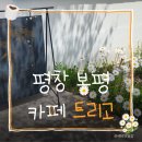 평창상하목장대리점 | 아이와 함께 가기 좋은 평창 봉평 카페, 애견동반 가능한 트리고 평창본점