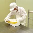 녹색흑염소 이미지