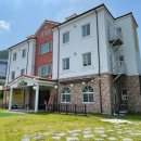 왕짱애견유치원 이미지