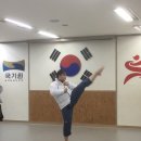 뉴드림태권도장 네이버블로그