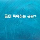 넌센스 Daum카페