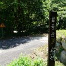 백송모텔 Daum카페