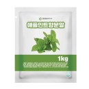 애플민트