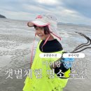 아이랑 가기좋은 서해 갯벌체험 추천 리스트 맛조개 동죽 조개캐기포인트