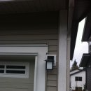 파인트리 이미지