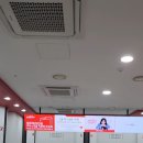 삼화렌트카 이미지