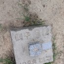 여강길(5코스 황학산길) | 여주여강길 5코스 (황학산길) : 여주역 ~ 명성황후 생가