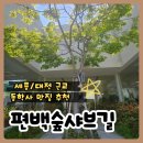 계룡산편백숲입구 | 편백숲샤브길 동학사점 / 공주세종대전근교 계룡산맛집