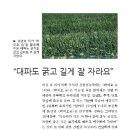 영호농장 이미지