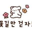 꽃코지 이미지