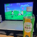 광동 | {찐찐 신상 차음료 후기} 광동 초당 옥수수차