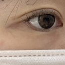 세븐일레븐대전괴정타운점 | 대전 속눈썹펌 잘하는 곳｜여자들의시간에서 속눈썹펌 만족 후기